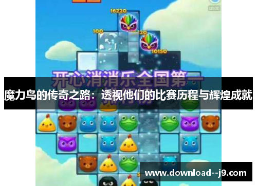 魔力鸟的传奇之路：透视他们的比赛历程与辉煌成就
